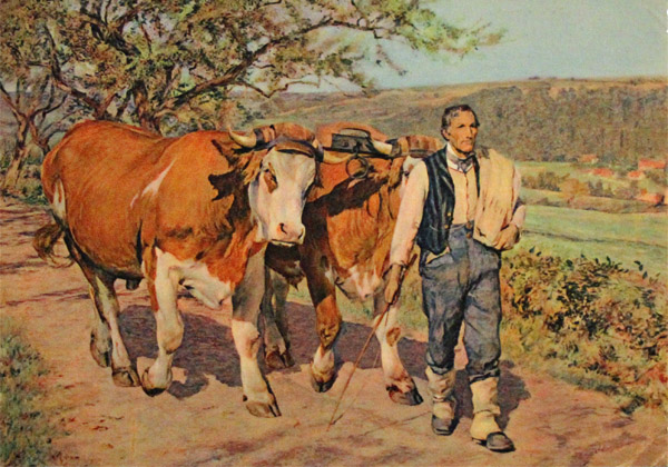 1950 Bauer mit Ochsengespann (C.L. Burnand)